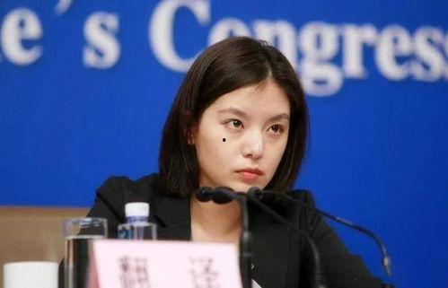 翻译官的资料,翻译官的使命与挑战