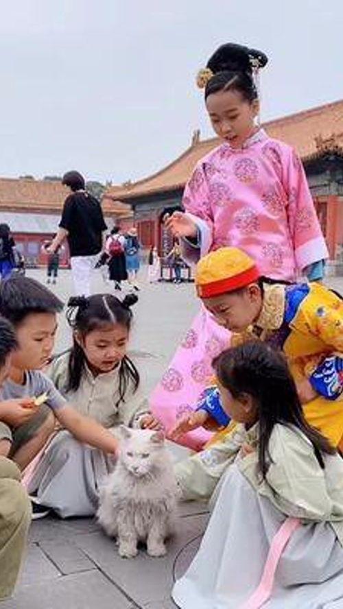 故宫拍戏花絮,揭秘宫廷剧拍摄幕后花絮